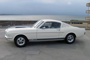 Shelbygt350.MustangsDaily