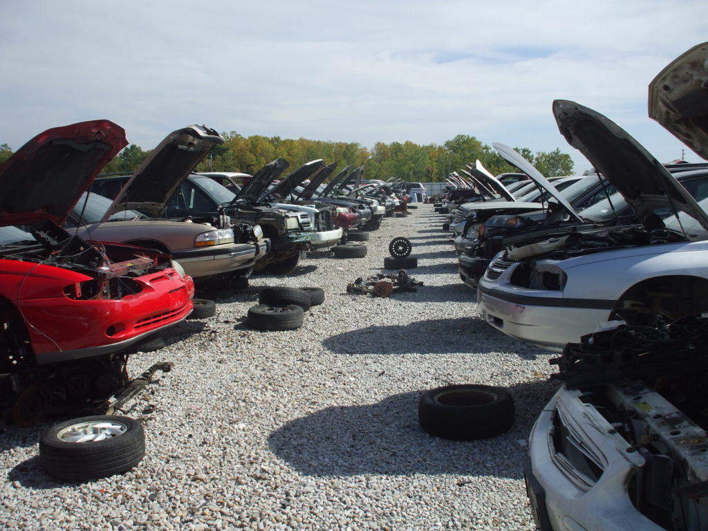 Cars Lined Up in a Junkyard