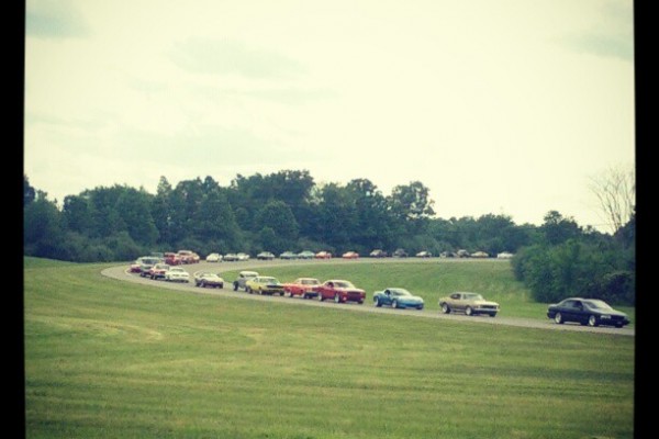 line of classic cars entering an event