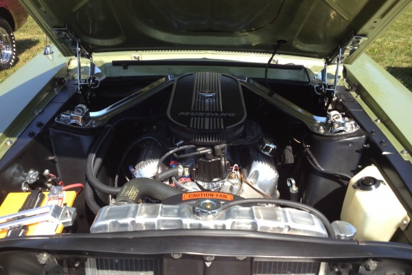 Ford Mustang V8 engine bay