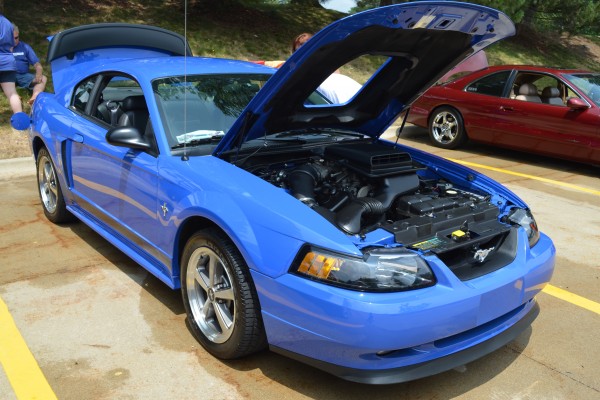 Blue Ford Mustang New Edge SN95
