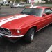 Mustang Fastback thumbnail