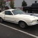 Mustang Fastback - white thumbnail