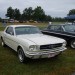white 1965 ford mustang notchback coupe thumbnail