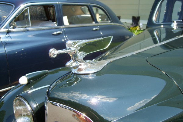 Packard hood ornament