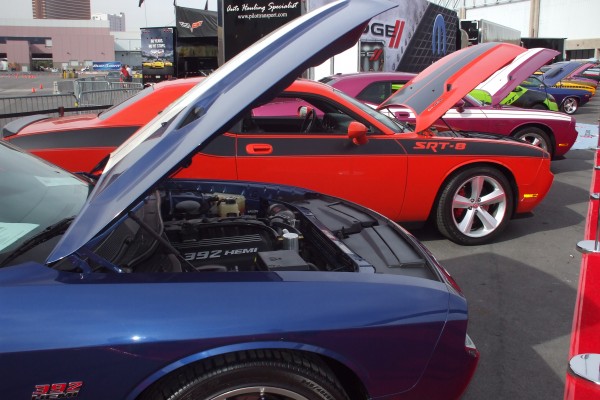 late model dodge challengers on display at 2012 SEMA show