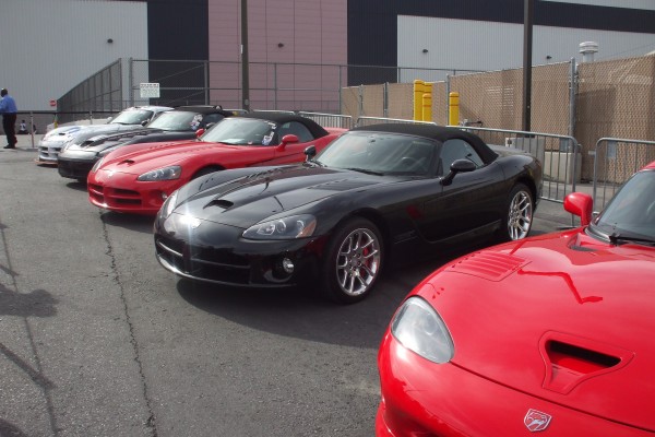 row of dodge vipers on display at 2012 SEMA show