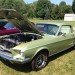 green 1967 ford mustang fastback coupe thumbnail
