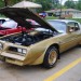 Gold pontiac firebird trans am T-Top coupe thumbnail