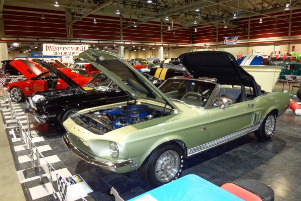 shleby gt500 KR convertible at a car show