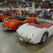 row of austin healey and other vintage European sports cars at a show thumbnail