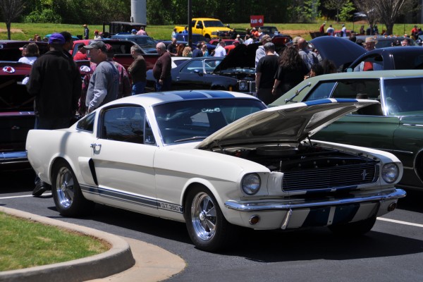 1965 1966 shelby gt350 ford mustang