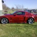 2008 Mustang GT500 thumbnail