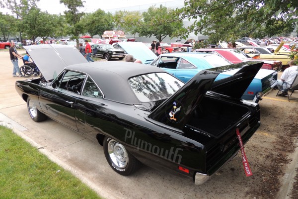 rear view of a black 1970 Plymouth Superbird