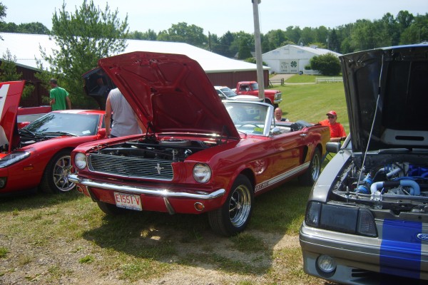 shelby gt350 convertible at a car show