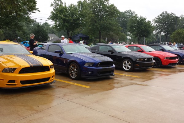 Row of late model mustangs at a car show