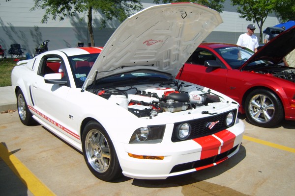ford mustang gt s197