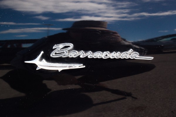 close up of a barracuda emblem on a classic Plymouth