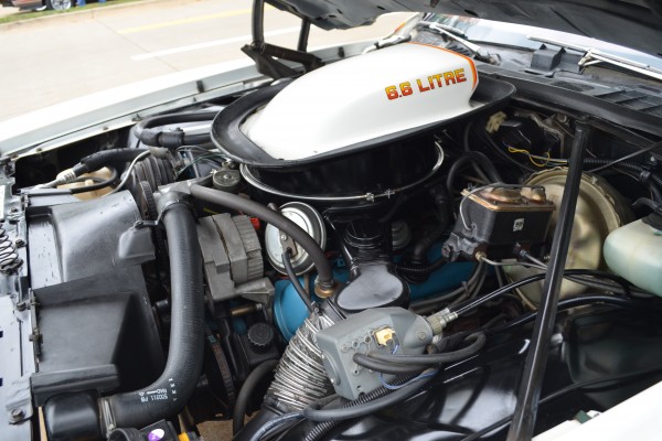 6.6 Liter engine with shaker hood scoop on vintage pontiac can am