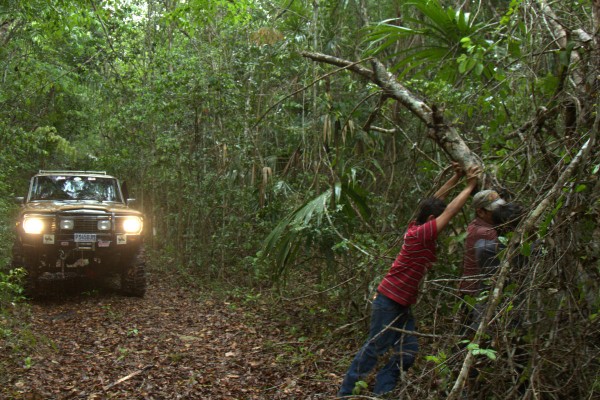 old truck on a heavy jungle trail