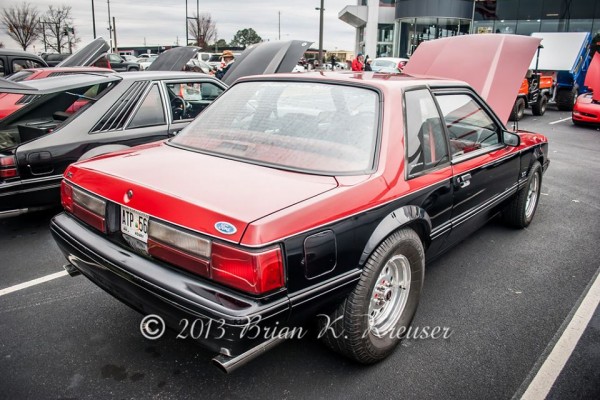 rear view of a notchback fox body ford mustang