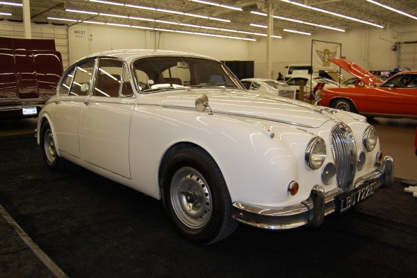 vintage white jaguar saloon at indoor car show
