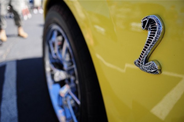 close up of emblem on a ford mustang cobra fender