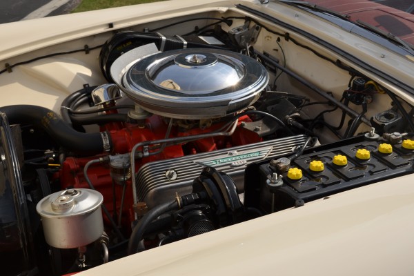 ford v8 engine in a first gen thunderbird coupe