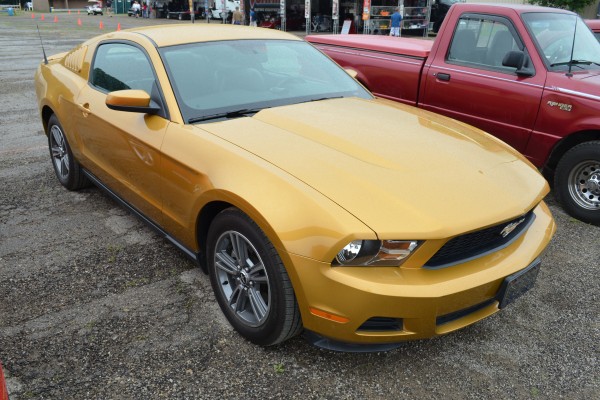 late model ford s195 mustang with gold paint job