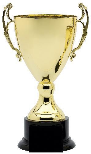a picture of a large trophy cup award