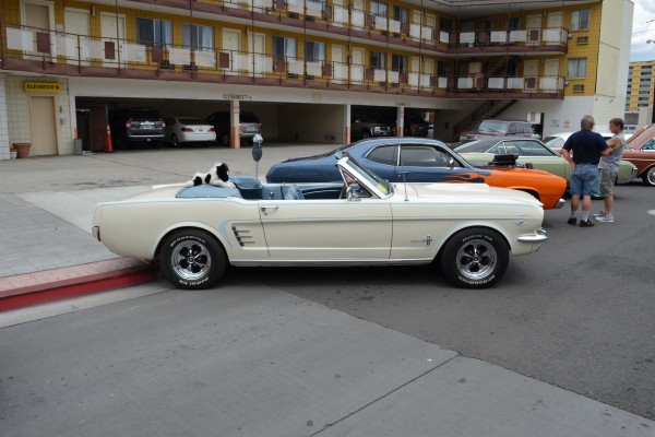 first gen ford mustang convertible at Hot August nights 2014