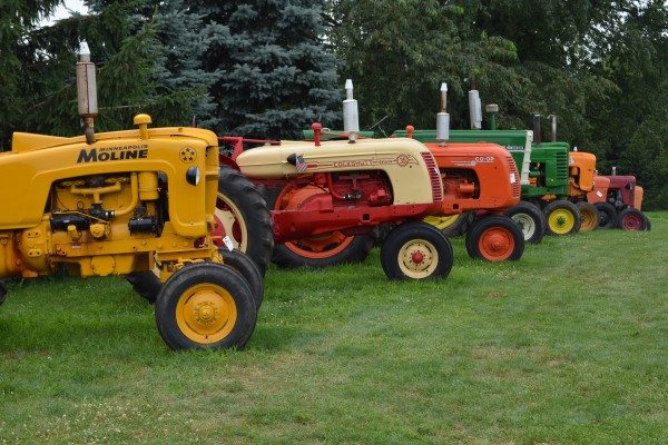 row of tractors at an old farm equipment show