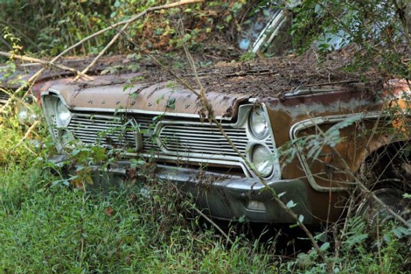 old cars covered in dirt and leaves