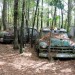 Old-Car-City-USA-Abandoned-Cars-193 thumbnail