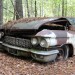 Old-Car-City-USA-Abandoned-Cars-195 thumbnail