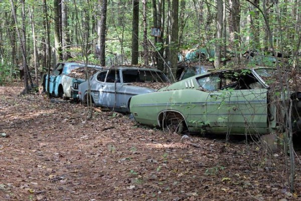 old cars covered in dirt and leaves