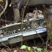 Old-Car-City-USA-Abandoned-Cars-Emblems-259 thumbnail