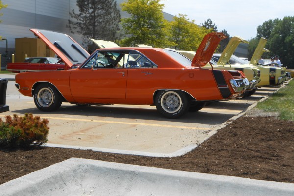 row of classic dodge cars with rear bumble bee stripes at a mopar event