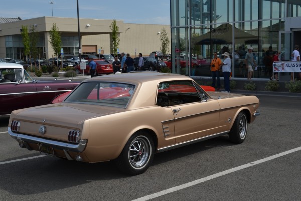gold notchback ford mustang at a local cruise-in car show