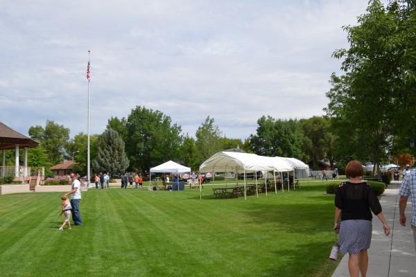 city park setting up for a festival