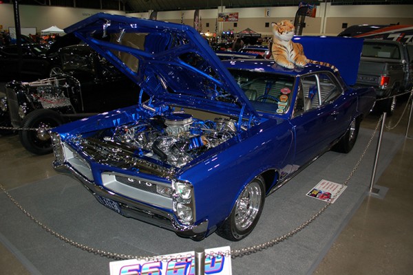 blue 1966 pontiac gto muscle car at indoor car show