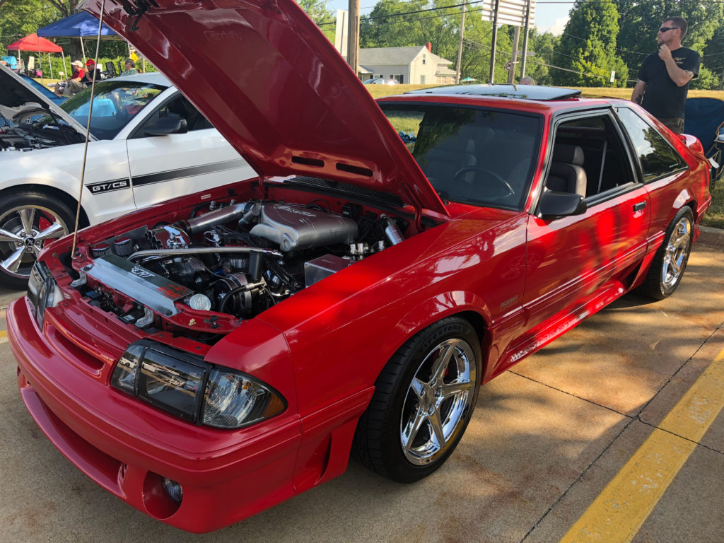 Red Fox Body Mustang