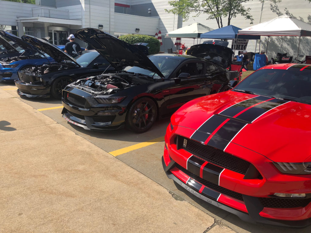 Row-of-Ford-Mustangs-at-Car-Show