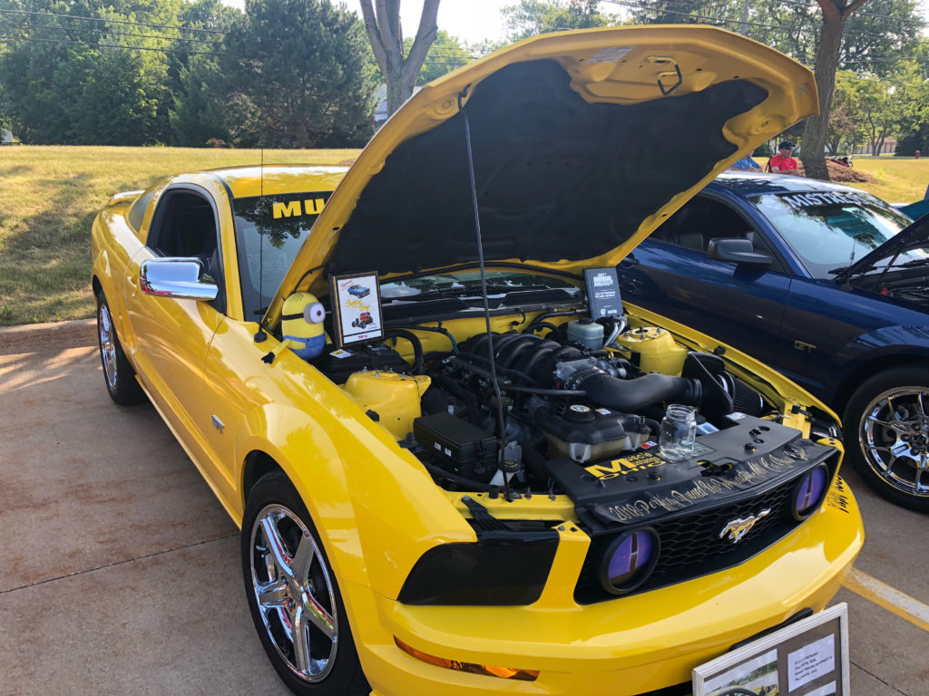 Yellow-Mustang