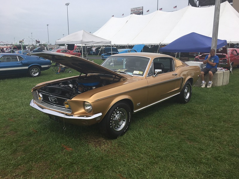 bronze ford mustang