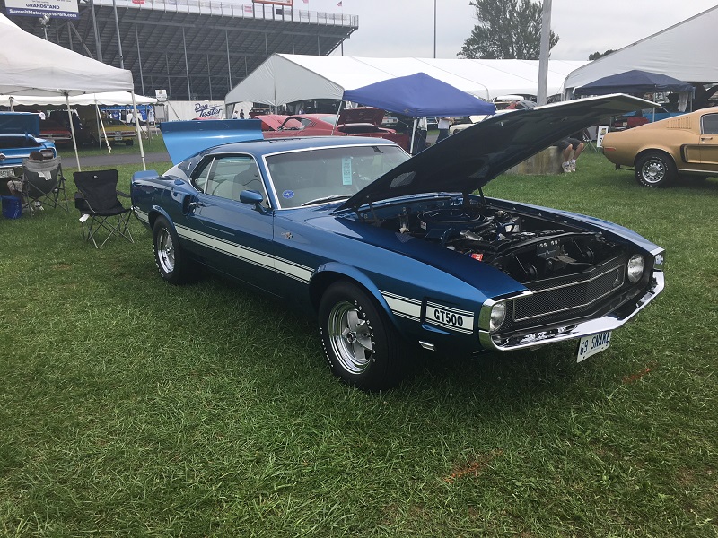 Blue 1969 Shelby GT500 Mustang