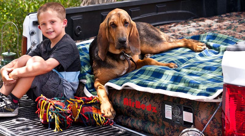young boy and a dog laying near an inflatable truck bed air mattress