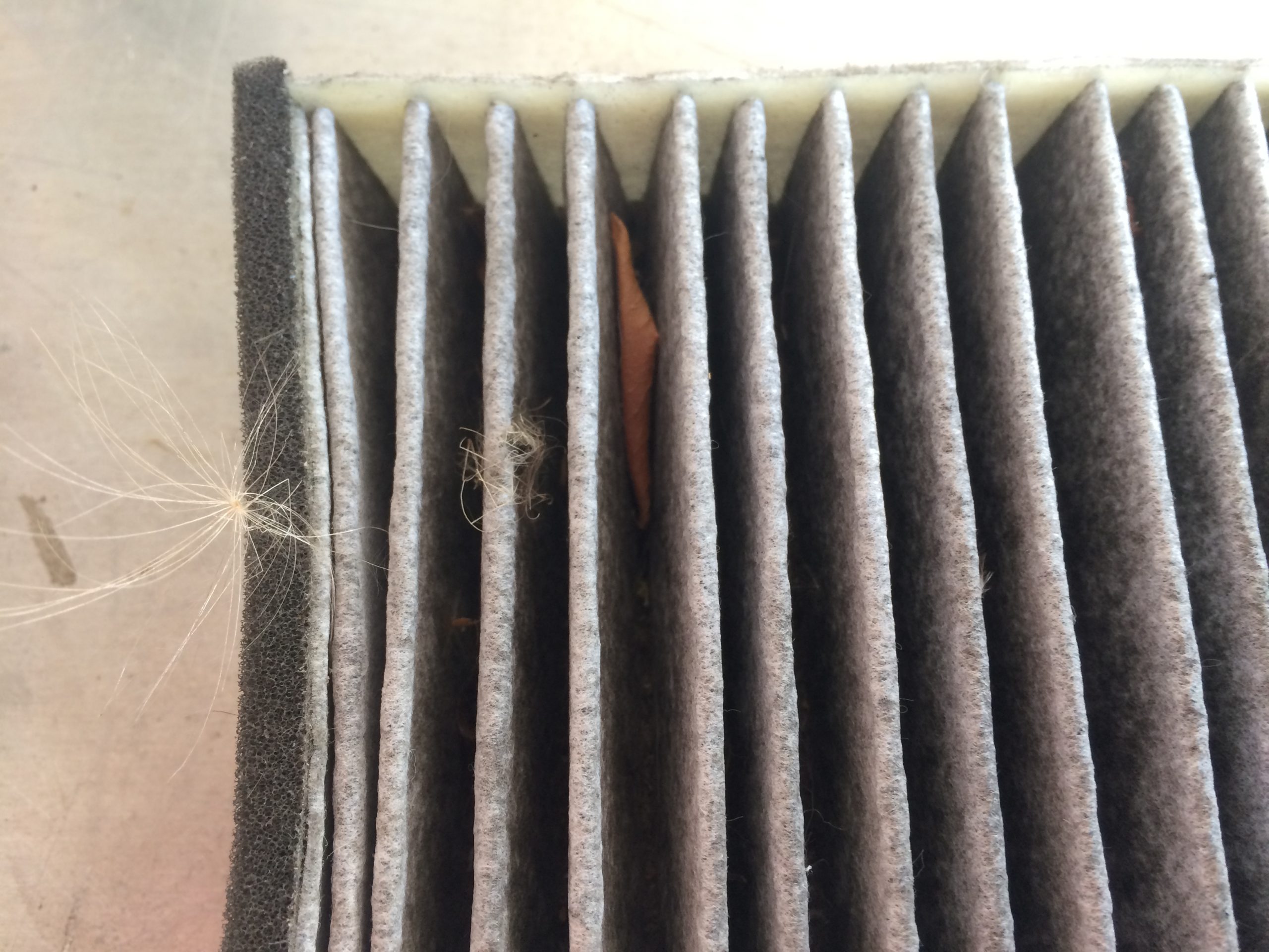 Car Maintenance 101: What is a Cabin Air Filter & When Should You Check  Yours