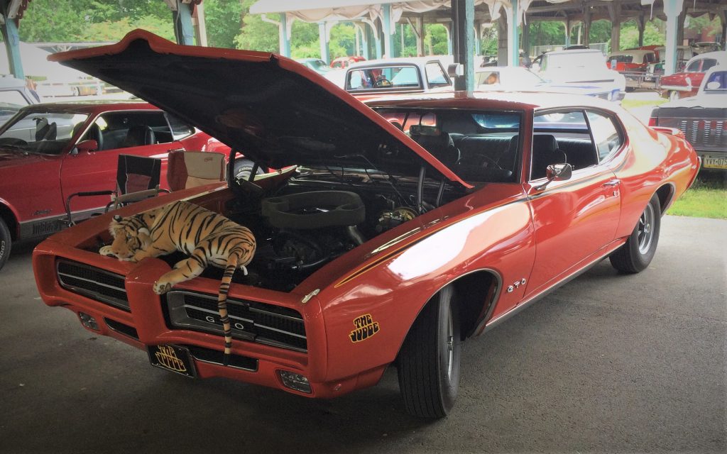 an orange pontiac gto judge with a stuffed tiger on the engine