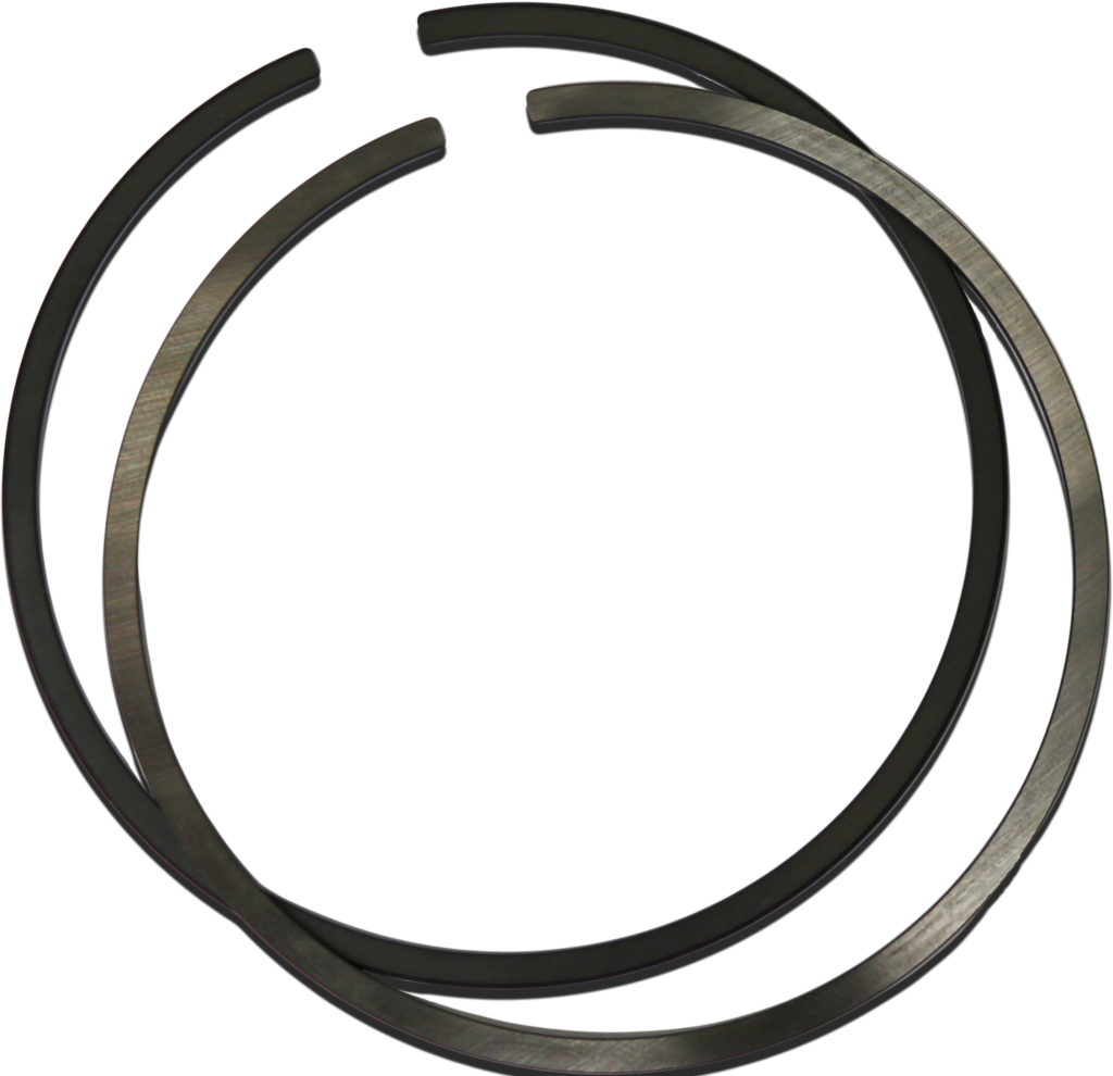 a pair of piston rings